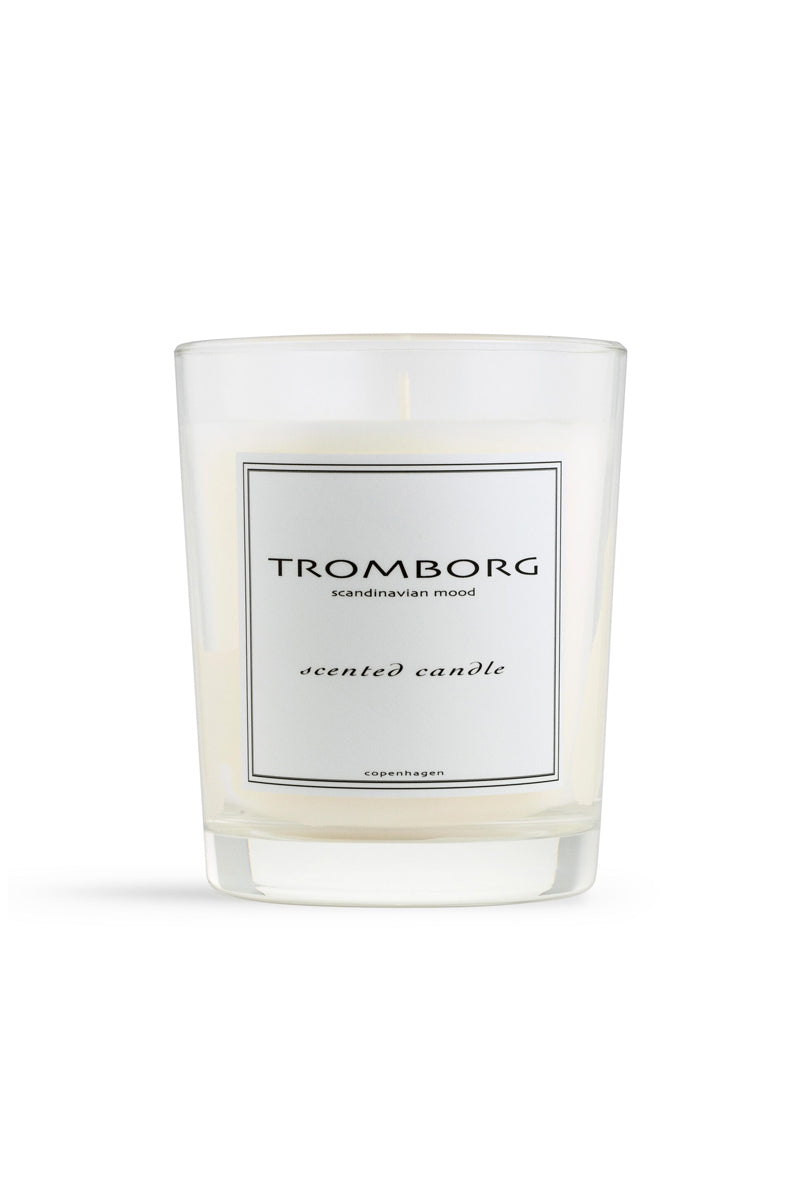 Scented Candle Figuier